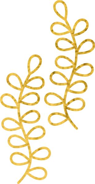 Bidri Decorative Elements Gold Texture